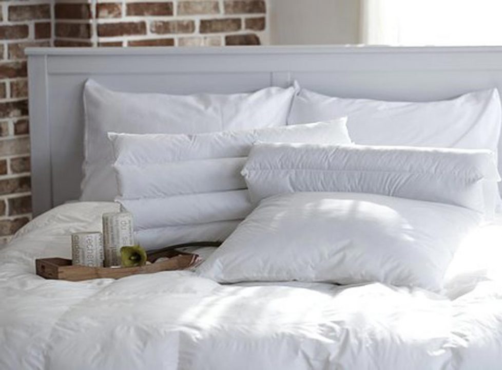 מצעי כותנה ומוצרי טקסטיל בחברת כותנה*כותנה